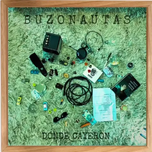 Donde Cayeron — Buzonautas